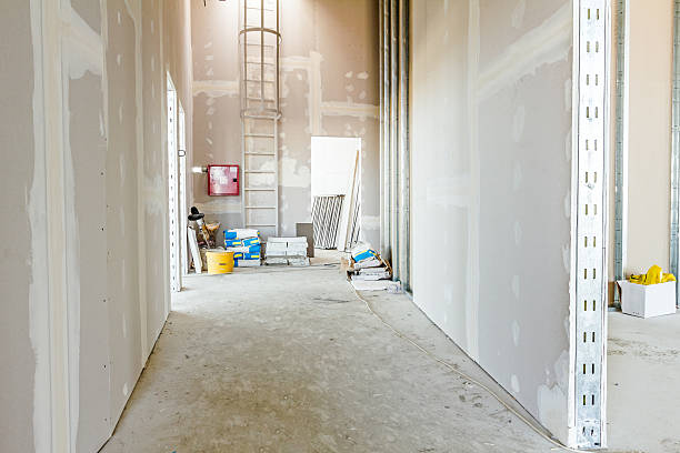 Best Drywall Removal and Disposal  in Derby, CO